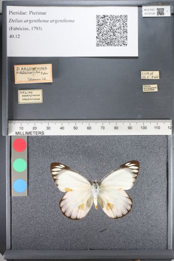 Media type: image;   Entomology 130128